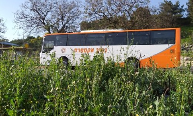 [צילום: עידן יוסף]