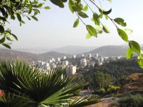 פאתי העיר כרמיאל [צילום: עיריית כרמיאל]