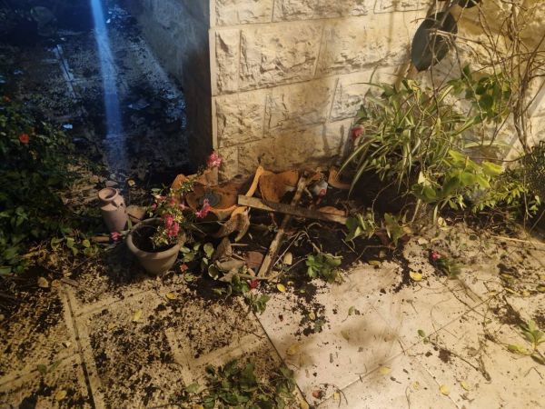 גינת ביתו של סולברג הושחתה [צילום: רשתות חברתיות]