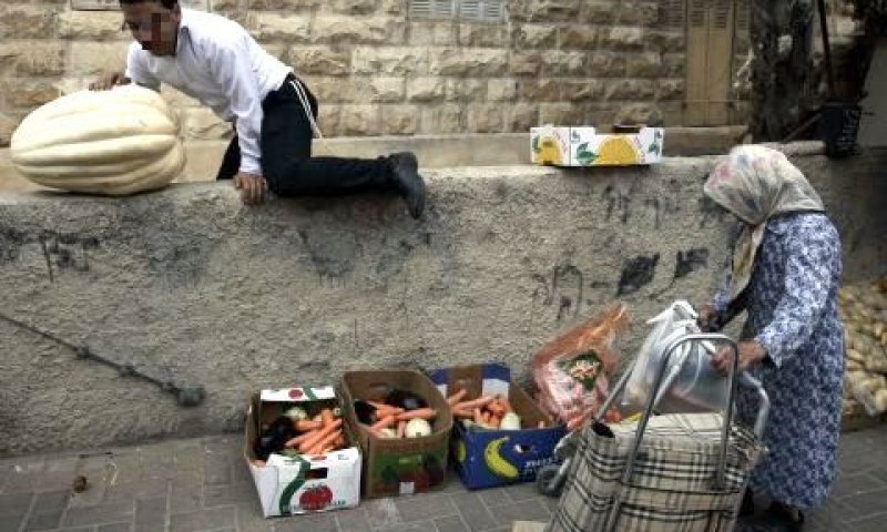אין מדיניות מוסדרת לפתרון הבעיה [צילום: פלאש 90]
