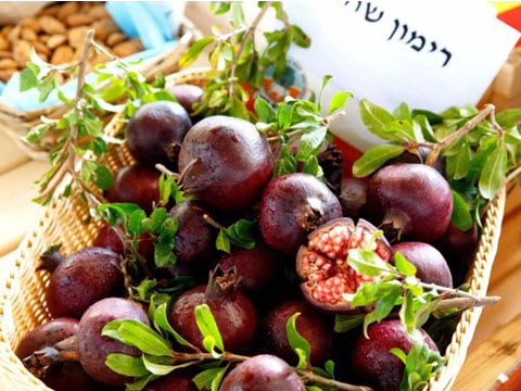 רימון ייחודי - שחור-סגול [צילום: החברה לפיתוח הגליל]