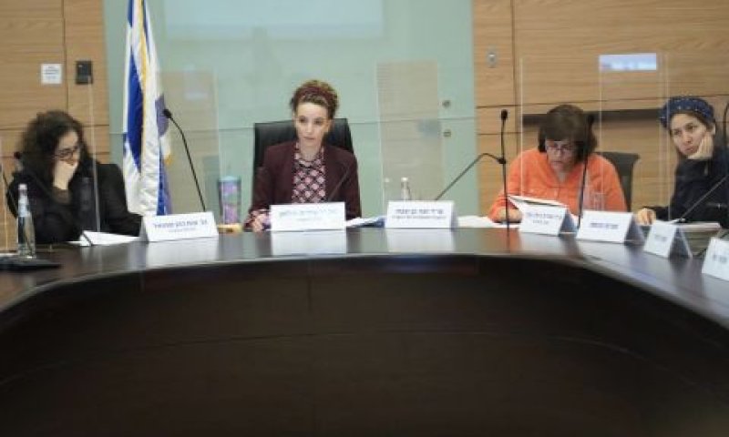 הדיון בוועדת הבריאות [צילום: דני שם-טוב, דוברות הכנסת]