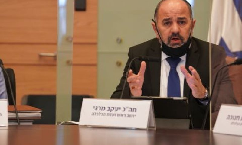 ח"כ מרגי בוועדת הכלכלה [צילום: דני שם-טוב/דוברות הכנסת]
