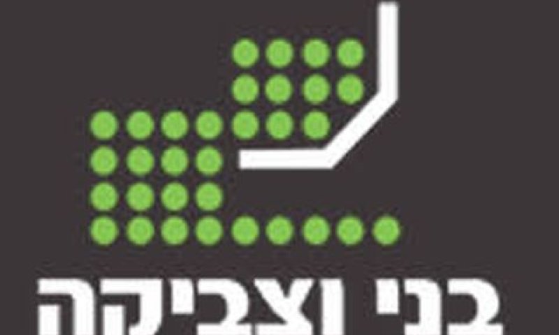 טוענת לכשלים
