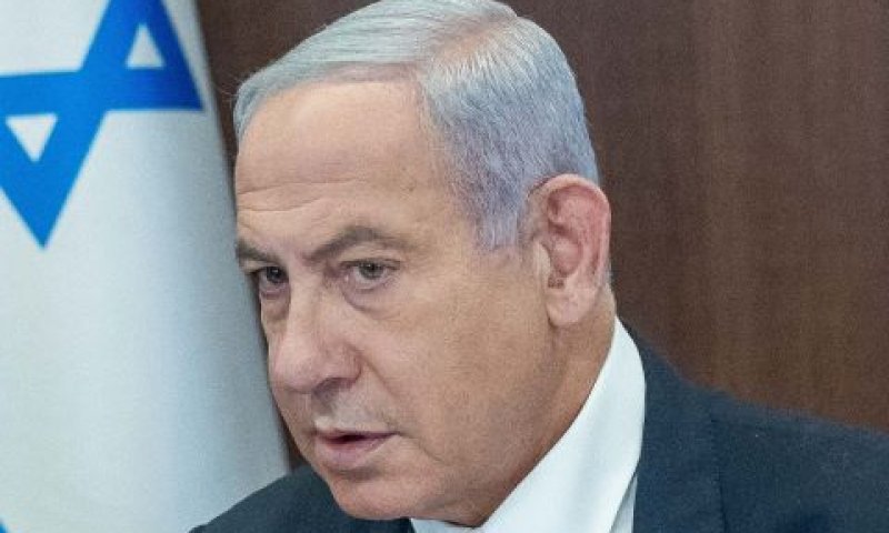 "היו נושאים אותי על כפיים" [צילום: יונתן זינדל, פלאש 90]
