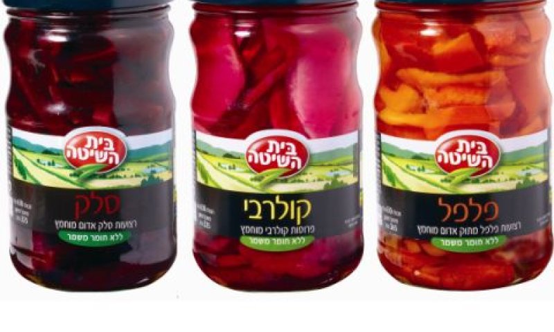 [צילום: סטודיו אסם]