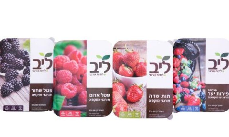 מוקפא [צילום: שי נייבורג]