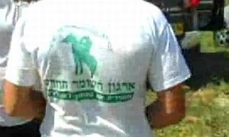 חולצת השומר החדש