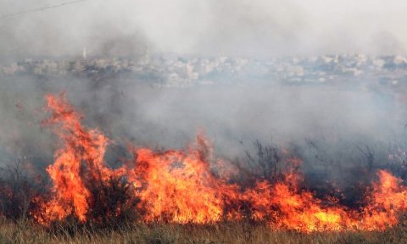 [צילום: טלוצ'ו/פלאש 90]