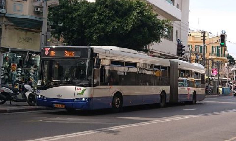 דן. לא מדייקת [צילום: אברהם שטרן]