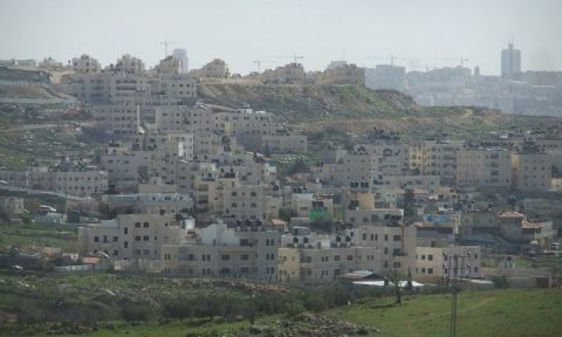 2.2 דונם בבית חנינא