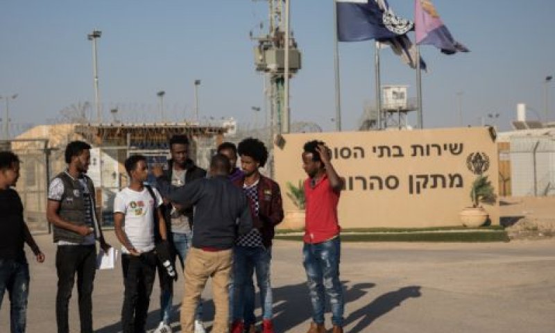 [צילום: הדס פרוש, פלאש 90]