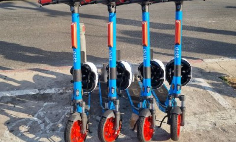 גלגינועים של דוט [צילום: אורן בסון]