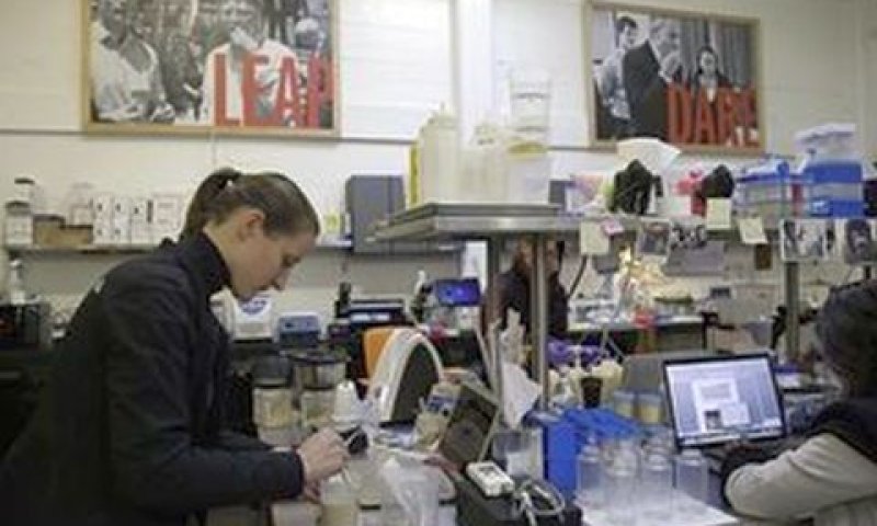 מעבדות המפטון קריק [צילום: AP]