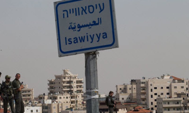 [צילום: נתי שוחט/פלאש 90]