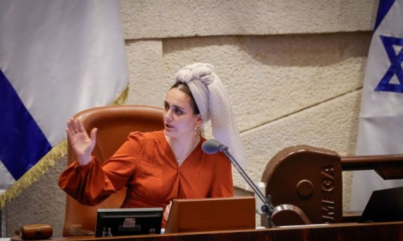 סון הר מלך. דורשת חקירה [צילום: נועם מושקוביץ/דוברות הכנסת]
