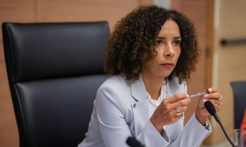 יו"ר הוועדה אבתיסאם מראענה [צילום: נועם מושקוביץ/דוברות הכנסת]