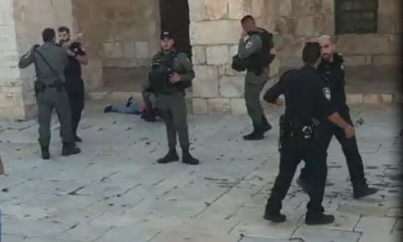 המחבל המנוטרל
