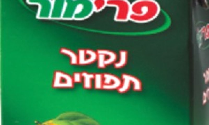 [צילום: יח"צ]