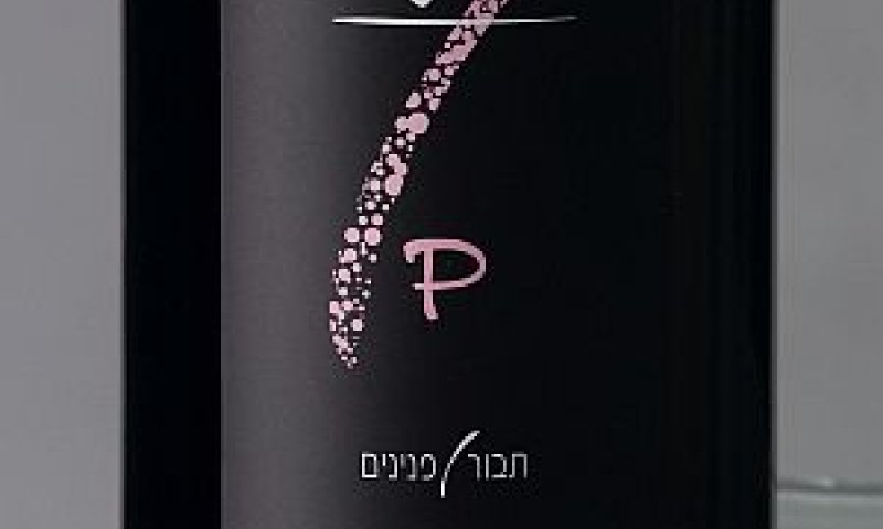 [צילום: יח"צ]