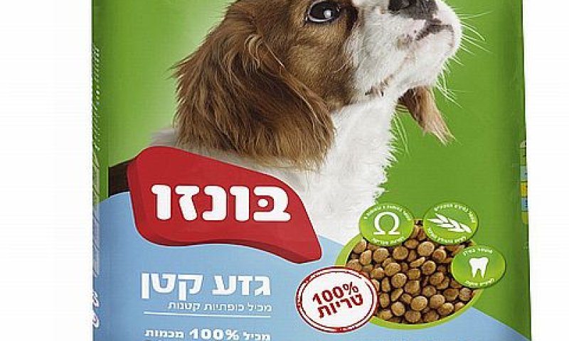 [צילום: יח"צ]