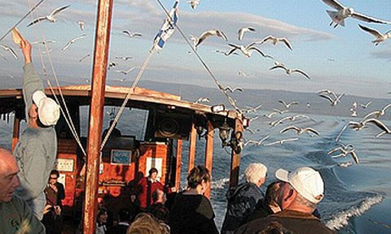 [ספינת צפרות / צילום: יוסי לשם-החברה להגנת הטבע]