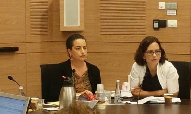 ח"כ עזריה בדיון בוועדת העבודה [צילום: דובר ח"כ רחל עזריה]