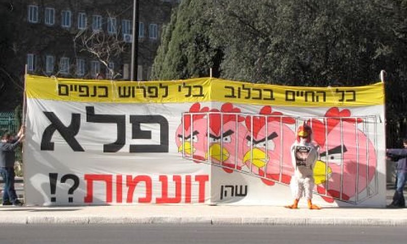 הפגנה של אנונימוס נגד הרפורמה [יח"צ]