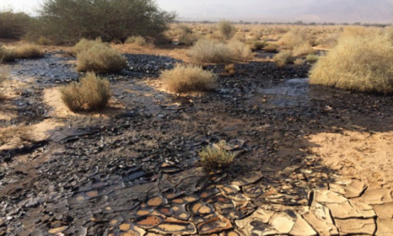 היקף הבצורת השנה מצומצם יחסית [צילום: שחר ישחרוב/פלאש 90]