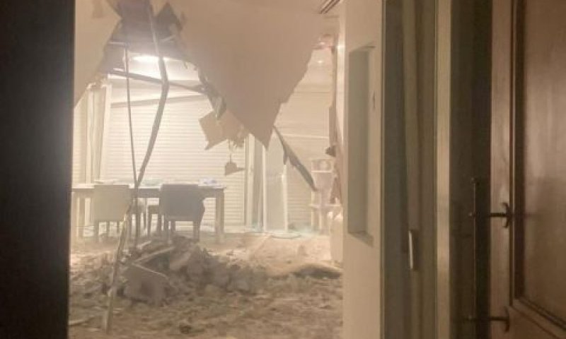 נזקי הפגיעה בסביון [צילום: שימוש לפי סעיף 27א לחוק זכויות יוצרים]