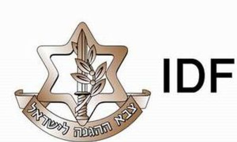 בוחרים בסייבר. צה"ל [צילום: דו"ץ]