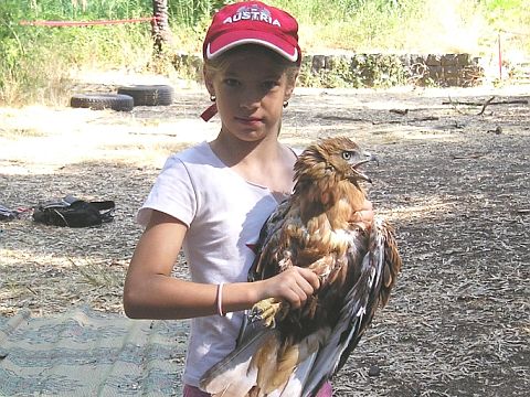 להכיר את חיות הבר [צילום: לורי רימון]
