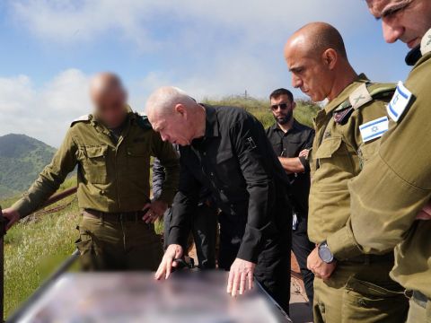 [צילום: אריאל חרמוני]