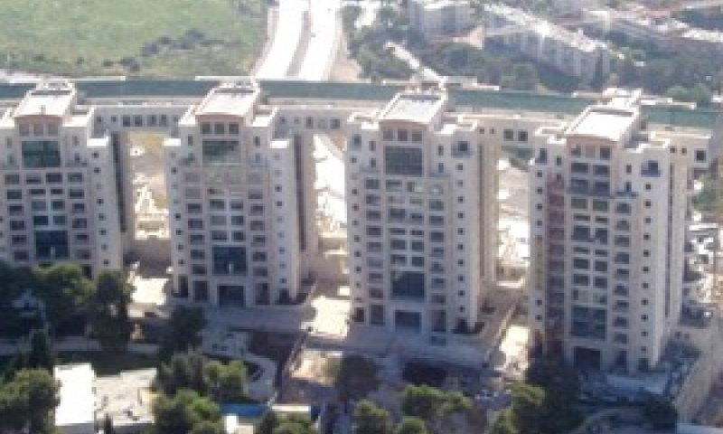 הולילנד