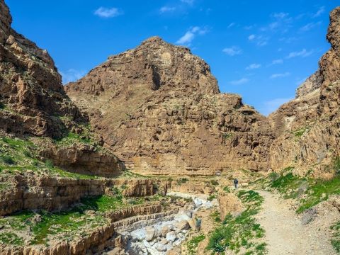 מחנה המתנדבים במבצע סקר וחפירות מדבר יהודה [צילום: אמיל אלג'ם, רשות העתיקות]