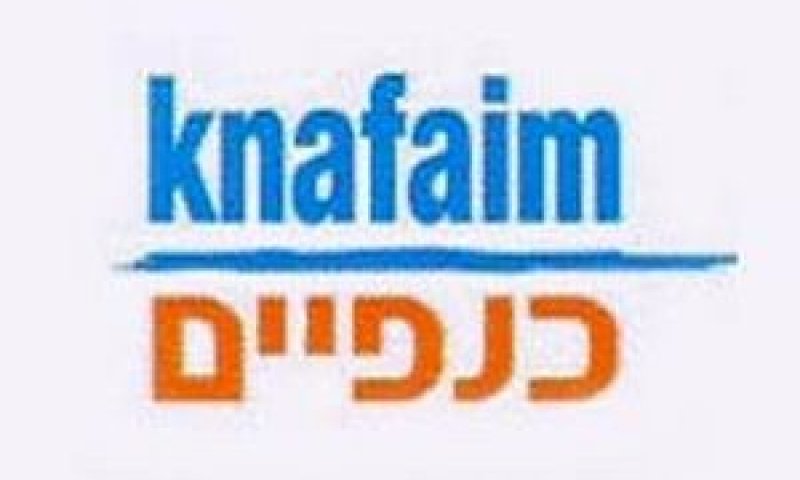 כנפיים. ממשיכה במגמת ההתרחבות
