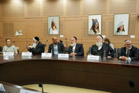 [צילום: דני שם-טוב/דוברות הכנסת]