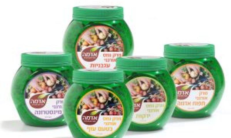 [צילום: יח"צ]
