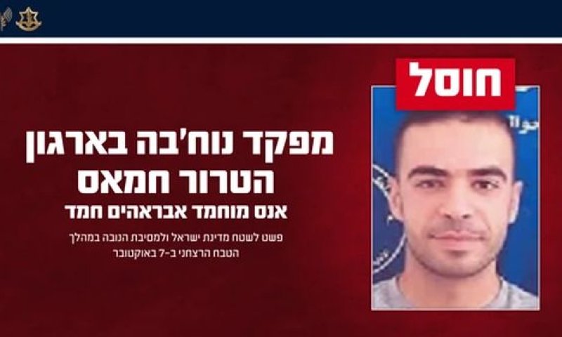 פרופיל המחבל