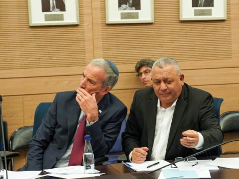 [צילום: דני שם-טוב/דוברות הכנסת]