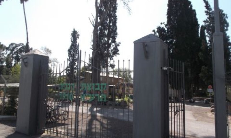 דגניה א'. מגדלים זיתים