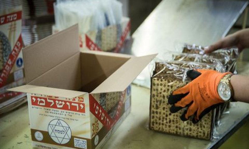 [צילום: יונתן זינדל/פלאש 90]
