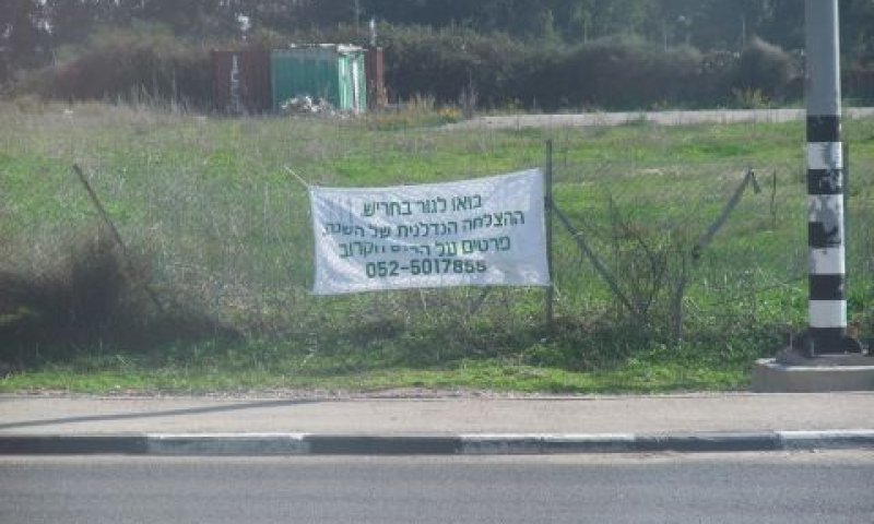 חריש. רוכשים להשקעה [צילום: איתמר לוין]