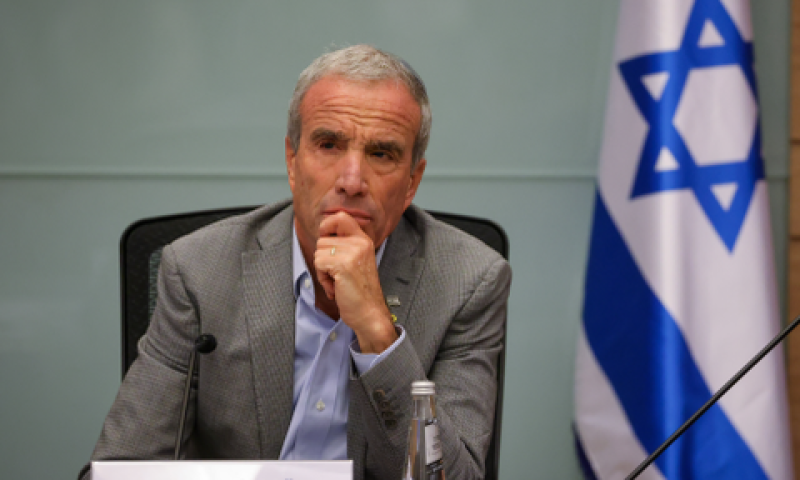 שטרן. נטל מוגבר על הנתבעים [צילום: נועם מושקוביץ, דוברות הכנסת]