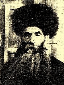 הרב איסר זלמן מלצר