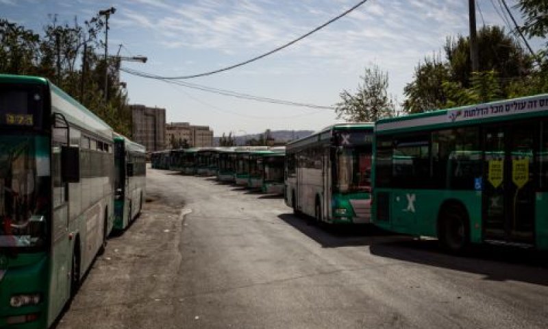 [צילום: סבי ברנס/פלאש 90]