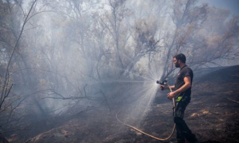 טרור העפיפונים גרם לנזקים כבדים ליערות [צילום: יונתן זינדל, פלאש 90]