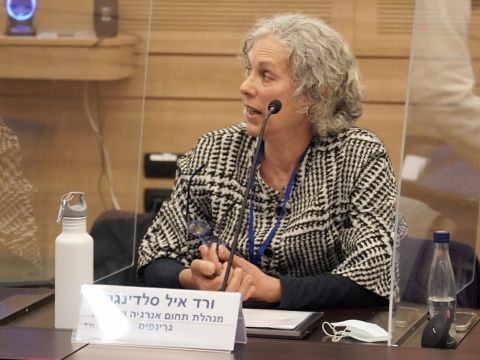 ורד איל סלדינגר [צילום: דני שם טוב/דוברות הכנסת]