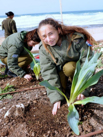 [צילום: צבי רוגר / דוברות עיריית חיפה]