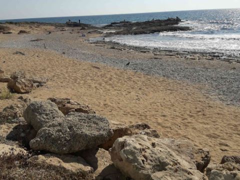 חוף כזיב – דורג כנקי [צילום: גידי בטלהיים, המשרד להגנת הסביבה]